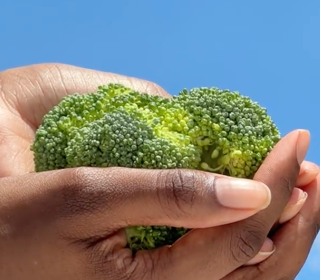 Broccoli—The Antioxidant Powerhouse